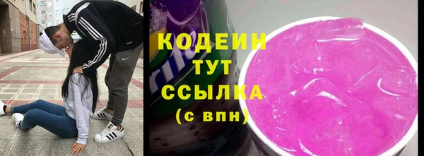 шишки Белокуриха