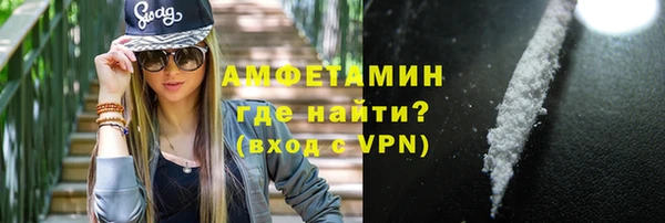 шишки Белокуриха