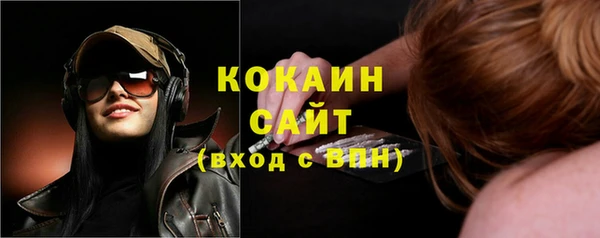 шишки Белокуриха