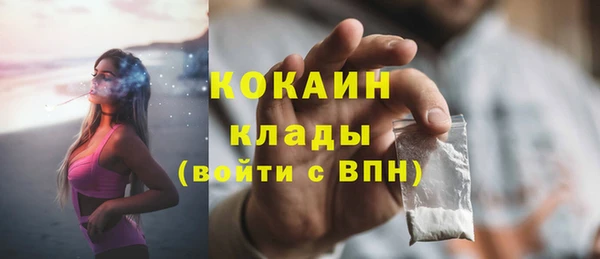 шишки Белокуриха