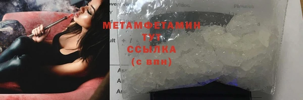 шишки Белокуриха