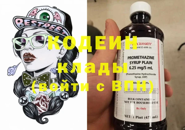 шишки Белокуриха