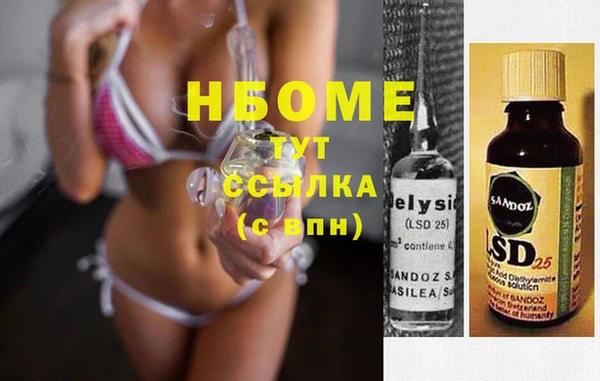 шишки Белокуриха