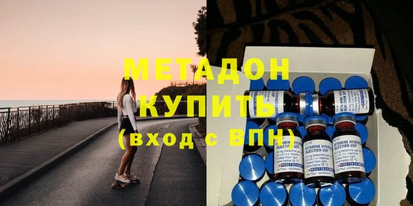 шишки Белокуриха