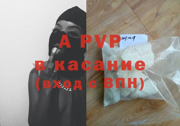 шишки Белокуриха