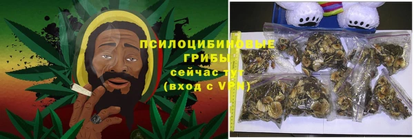 стаф Баксан